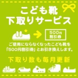 f:id:toshinan:20170613232248j:plain