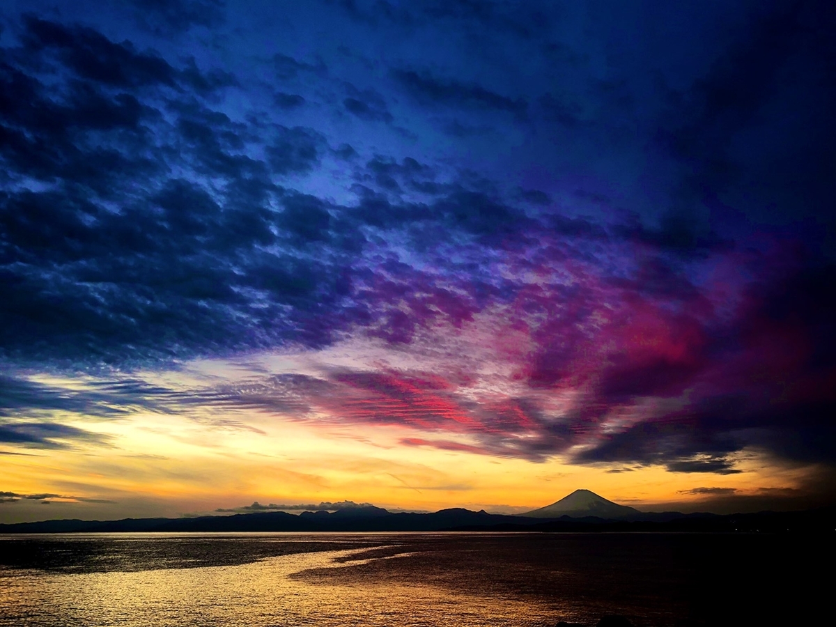 f:id:toshino_bakeinu:20200201094152j:plain