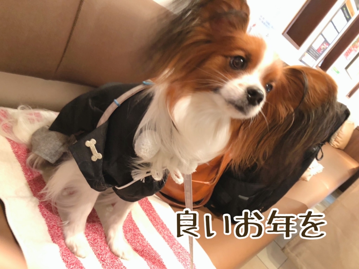 f:id:toshino_bakeinu:20220101174217j:plain