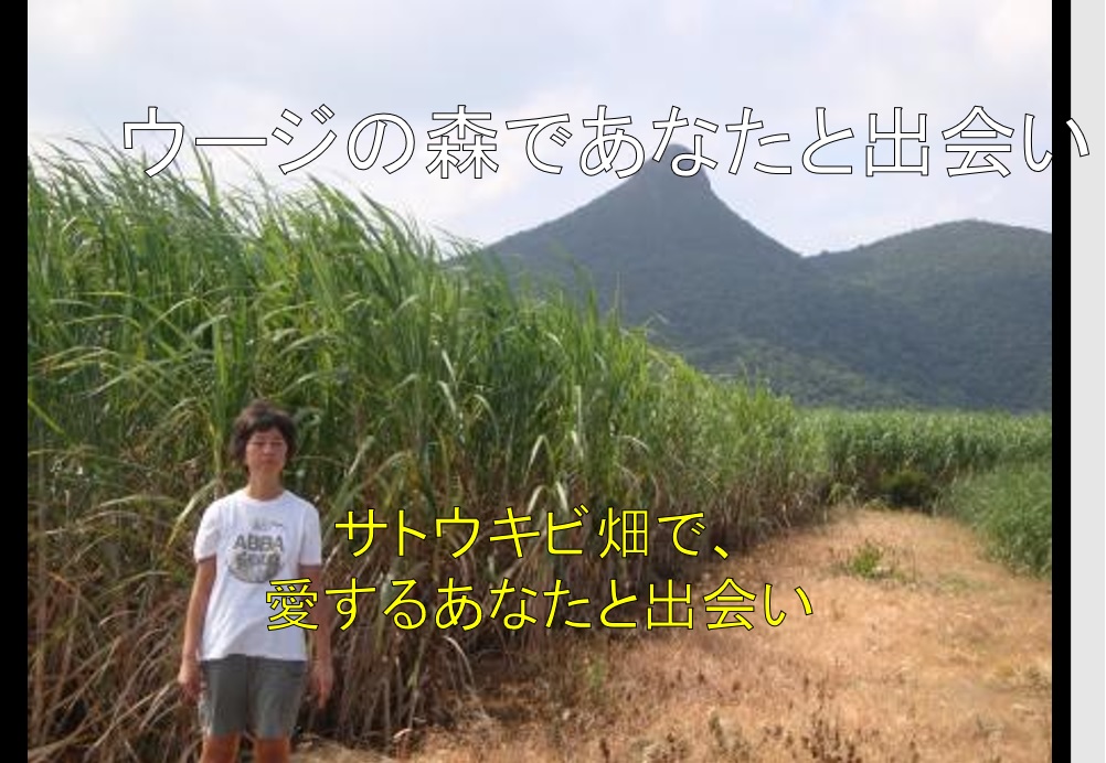 f:id:toshioh:20200801160407j:plain