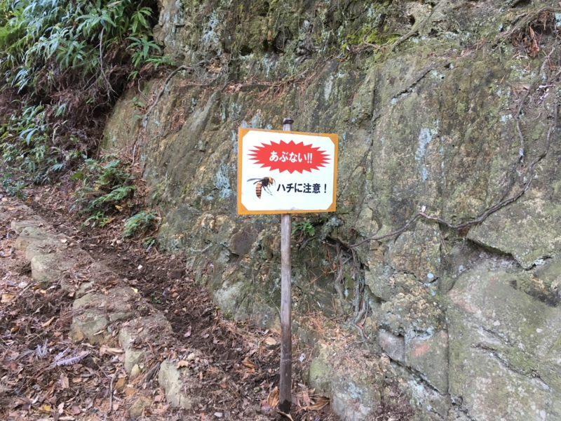 f:id:toshiolog:20161228194835j:plain f:id:toshiolog:20161228194835j:plain