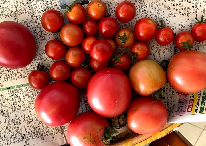 f:id:toship-asobi:20191027001142j:plain