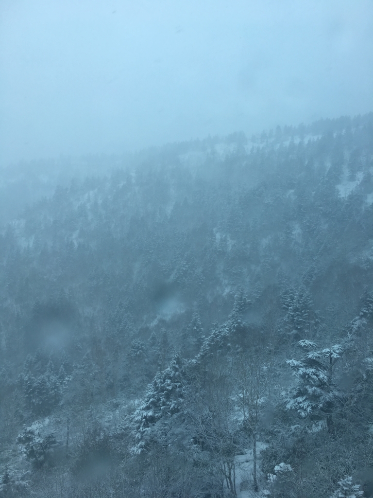 f:id:tosi0825:20170412221002j:plain f:id:tosi0825:20170412221002j:plain