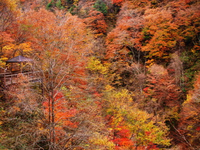 f:id:tosibo3:20111030142933j:image f:id:tosibo3:20111030142933j:image