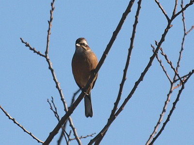 f:id:tosibo3:20111224112054j:image f:id:tosibo3:20111224112054j:image