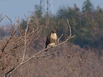 f:id:tosibo3:20111224113602j:image f:id:tosibo3:20111224113602j:image