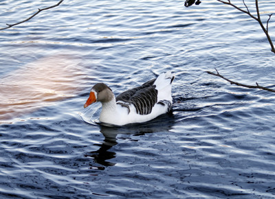 f:id:tosibo3:20111224144636j:image f:id:tosibo3:20111224144636j:image