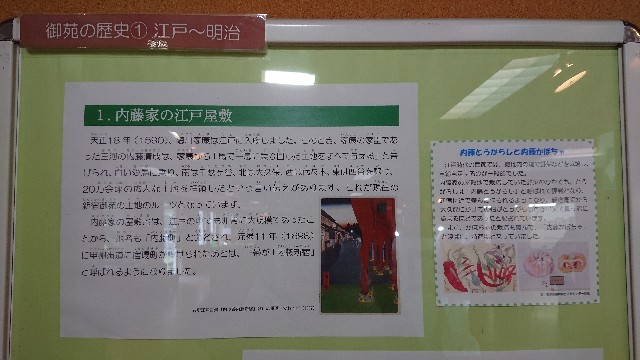 f:id:tosshii-plants:20180624214624j:image