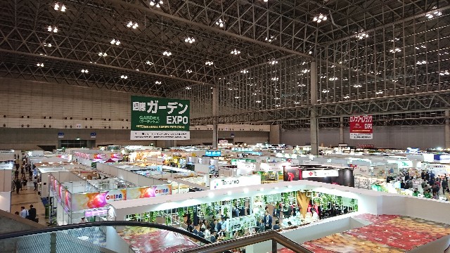 f:id:tosshii-plants:20181012204200j:image