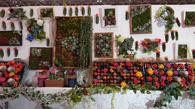 f:id:tosshii-plants:20181012204436j:image