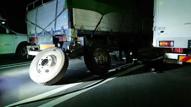 f:id:tosshii-plants:20181015201608j:image