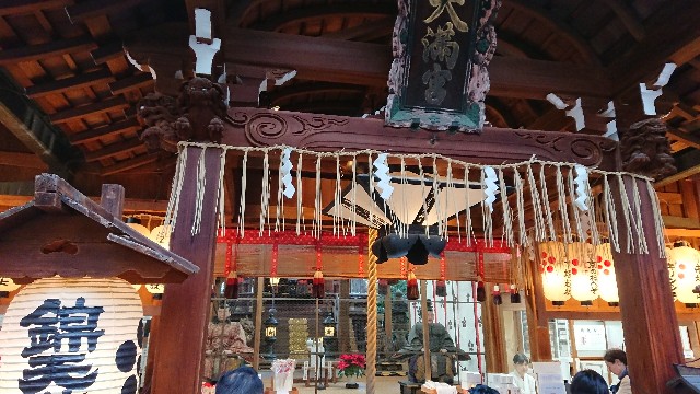 f:id:tosshii-plants:20181206204558j:image