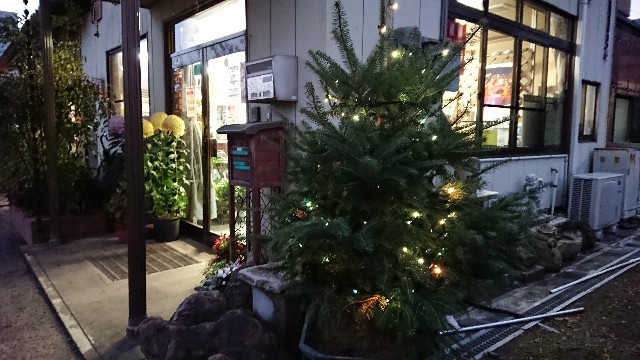 f:id:tosshii-plants:20181207203351j:image