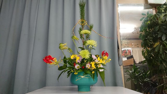 f:id:tosshii-plants:20181214220053j:image