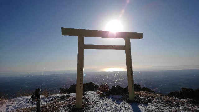 f:id:tosshii-plants:20190101201631j:image f:id:tosshii-plants:20190101201631j:image