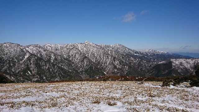 f:id:tosshii-plants:20190101202126j:image f:id:tosshii-plants:20190101202126j:image