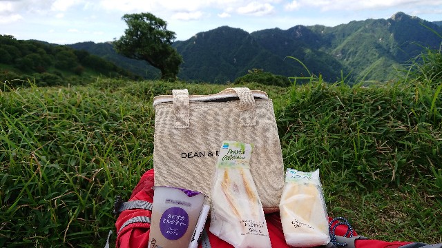 f:id:tosshii-plants:20190813191847j:image