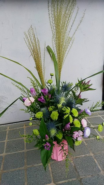 f:id:tosshii-plants:20190921215607j:image