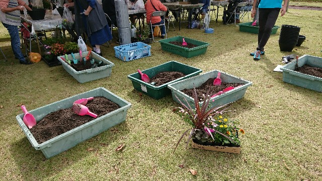 f:id:tosshii-plants:20191020225155j:image
