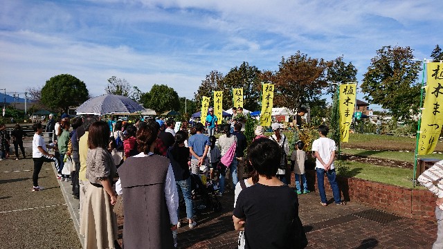 f:id:tosshii-plants:20191020225253j:image