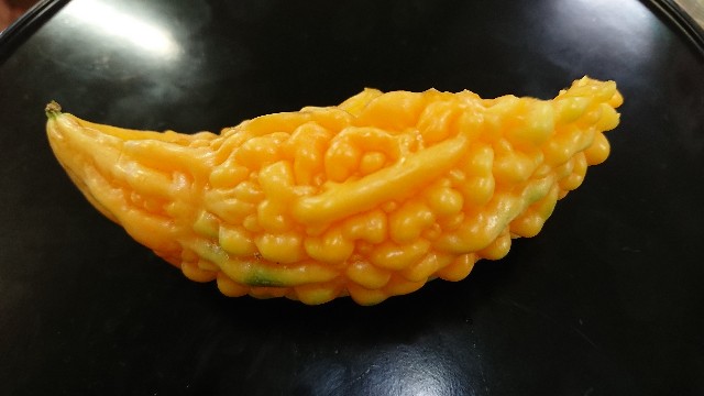 f:id:tosshii-plants:20200821212317j:image