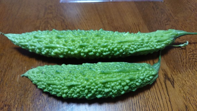 f:id:tosshii-plants:20200821212330j:image