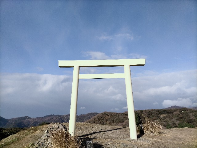 f:id:tosshii-plants:20201213172846j:image