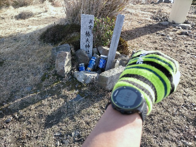 f:id:tosshii-plants:20201213173030j:image