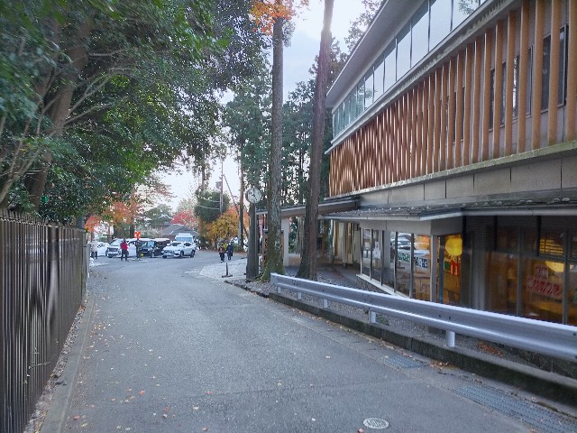 f:id:tosshii-plants:20201213173233j:image