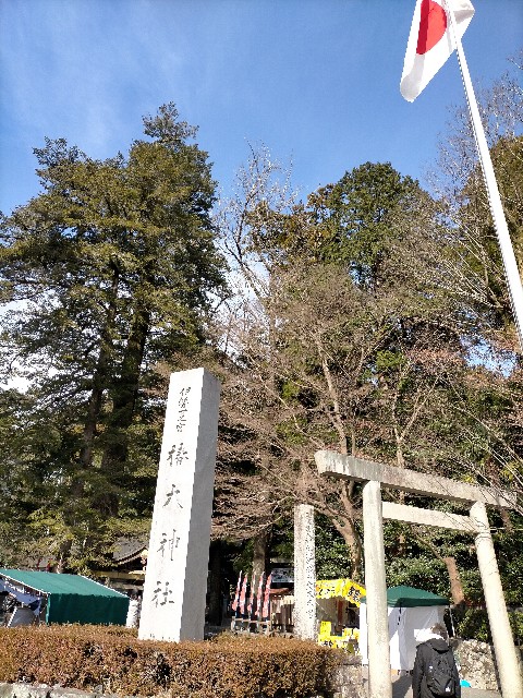 f:id:tosshii-plants:20210103211439j:image