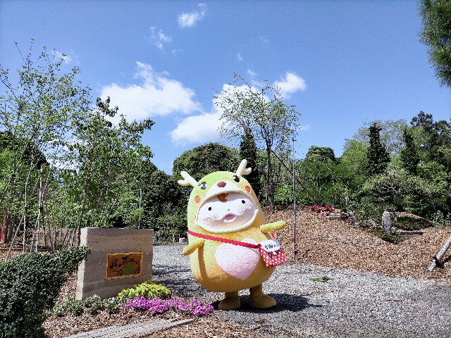 f:id:tosshii-plants:20210419214808j:image