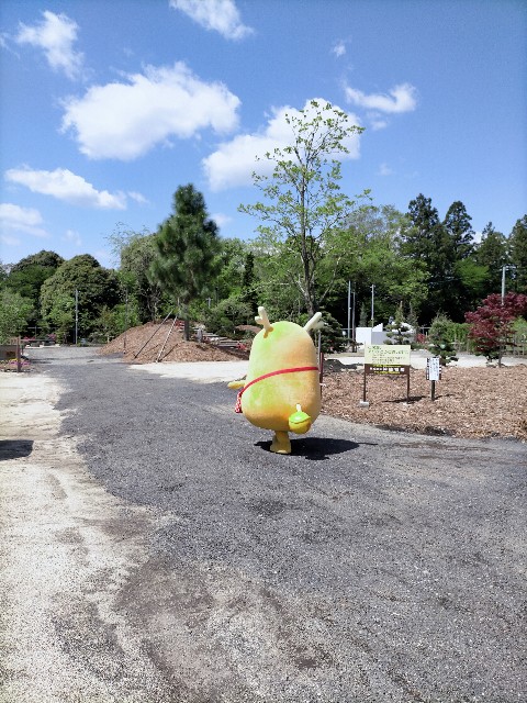 f:id:tosshii-plants:20210419214945j:image