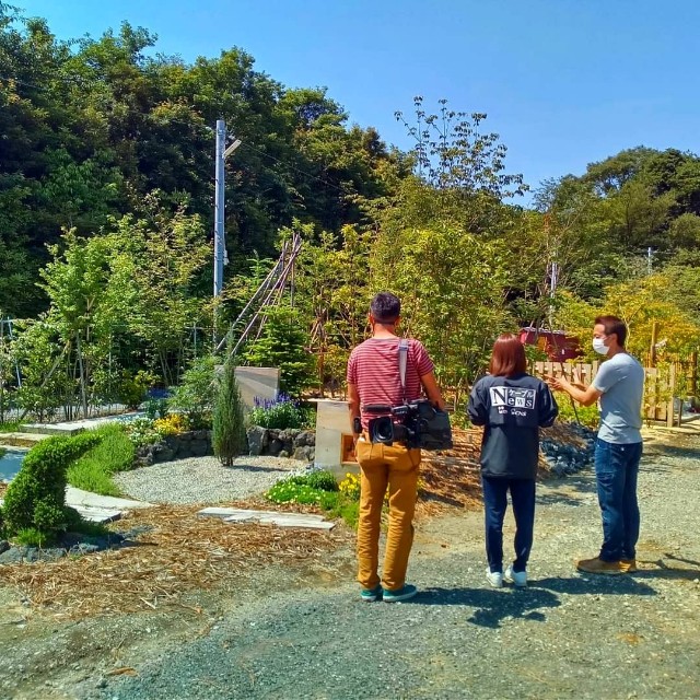 f:id:tosshii-plants:20210607223417j:image f:id:tosshii-plants:20210607223417j:image