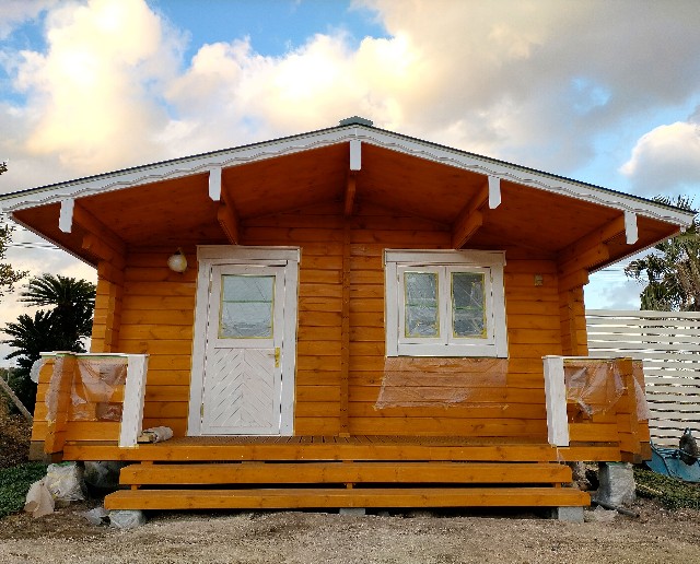 f:id:tosshii-plants:20220227223544j:image f:id:tosshii-plants:20220227223544j:image