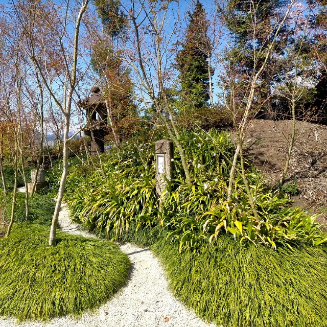 f:id:tosshii-plants:20220408211216j:image f:id:tosshii-plants:20220408211216j:image