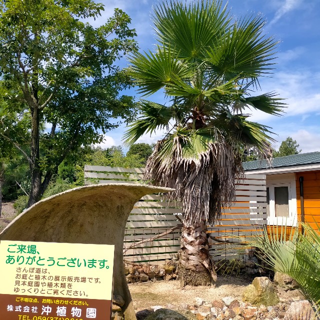 f:id:tosshii-plants:20220831220130j:image f:id:tosshii-plants:20220831220130j:image