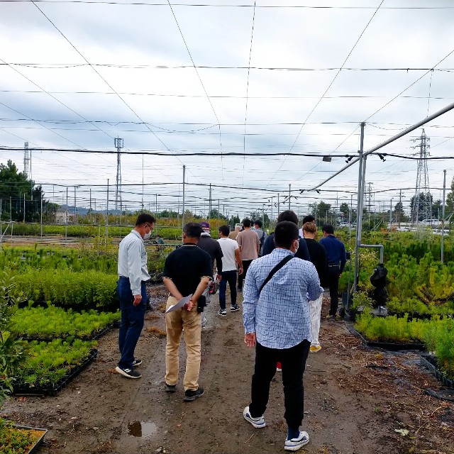f:id:tosshii-plants:20220930111325j:image f:id:tosshii-plants:20220930111325j:image