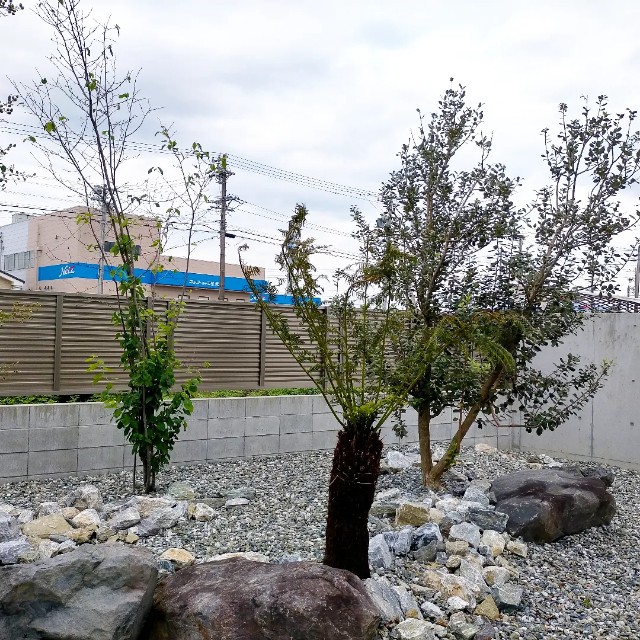 f:id:tosshii-plants:20220930111432j:image f:id:tosshii-plants:20220930111432j:image