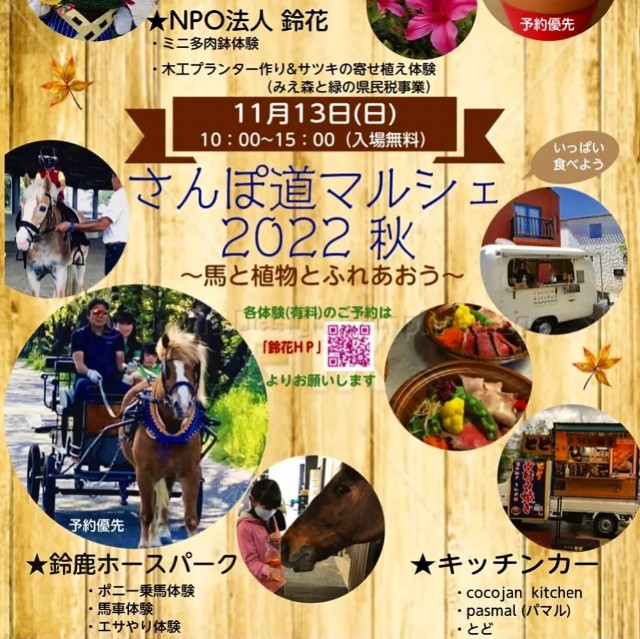 f:id:tosshii-plants:20221108231700j:image f:id:tosshii-plants:20221108231700j:image