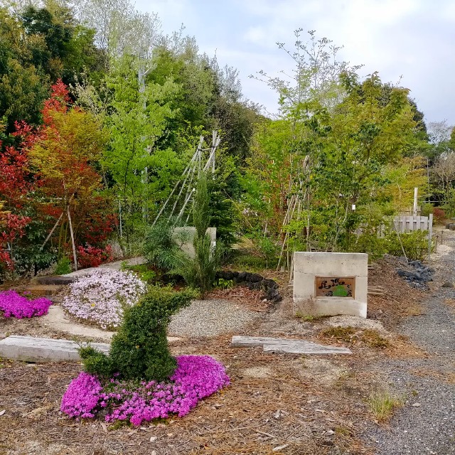 f:id:tosshii-plants:20230412203242j:image f:id:tosshii-plants:20230412203242j:image