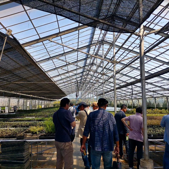 f:id:tosshii-plants:20230608073013j:image