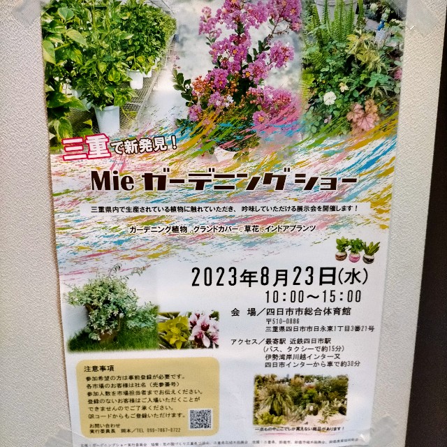 f:id:tosshii-plants:20230823205431j:image