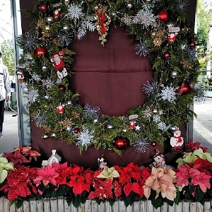 f:id:tossy123:20201125154152j:plain