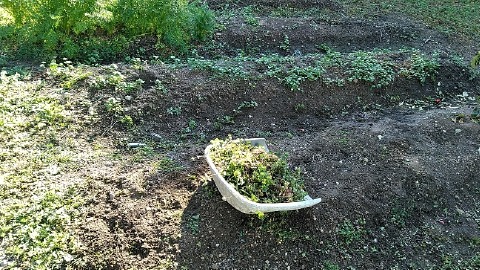 f:id:tossy123:20201205115306j:plain