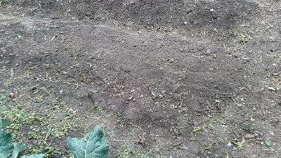 f:id:tossy123:20201220151431j:plain