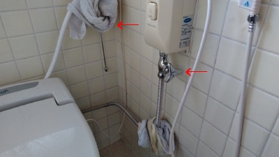 f:id:tossy123:20210130163118j:plain