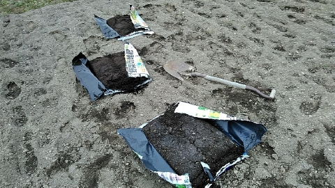 f:id:tossy123:20210313120902j:plain