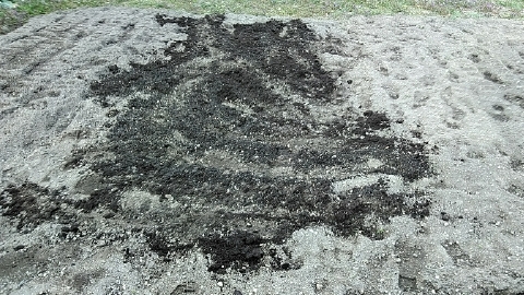 f:id:tossy123:20210313121015j:plain