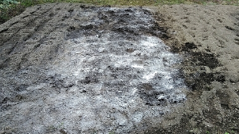 f:id:tossy123:20210313121350j:plain