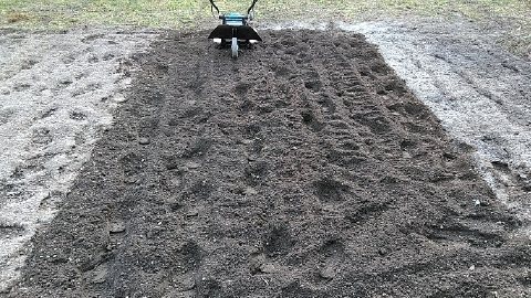 f:id:tossy123:20210313121512j:plain